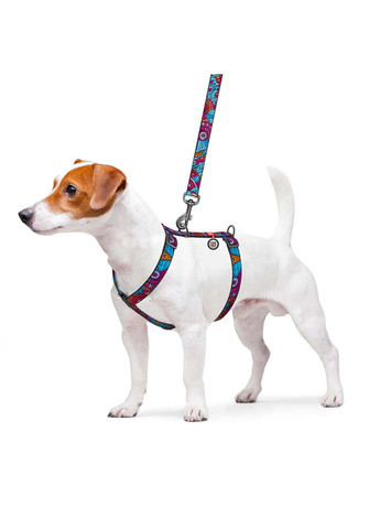 Шлея для собак анатомическая H-образная Nylon Лето пластиковый фастекс М Ш 20 мм А 40-70 В 50-80 WAUDOG (292175127)