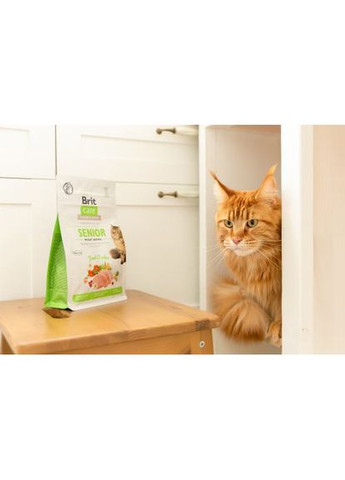Сухой корм Cat GF Senior Weight Control для пожилых кошек с избыточным весом, курица, 400 г Brit Care (362703372)
