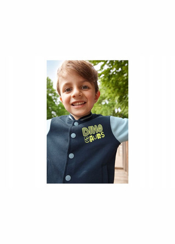 Кофта (бомбер) для хлопчика утеплена Lupilu (302785589)