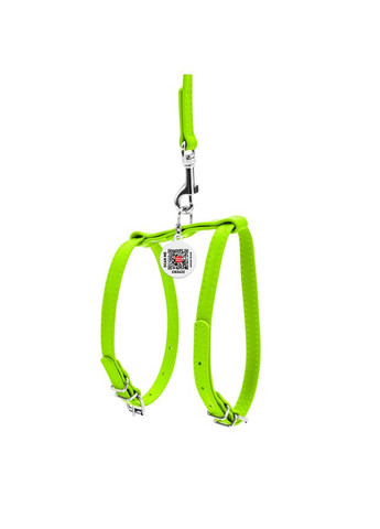 Шлея з повідцем для собак шкіряна Glamour з QR паспортом, Ш 12 мм, А 25-33 см, В 35-43 см салатовий WAUDOG (326836949)