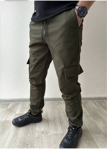 Чоловічі штани (заміри в описі) Vione (367077973)