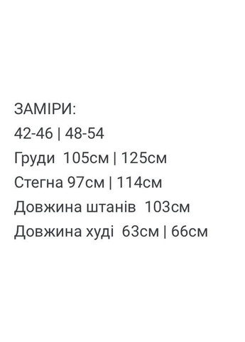 Жіночий флісовий спортивний костюм FINO Mode (366152439)