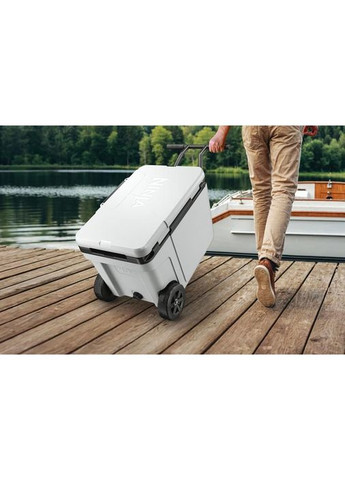 Термобокс FrostVault 42L Hard Coole (FB245EUWH) Ninja (332613713)