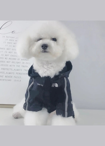 Куртка ветровка с тонкой водонепроницаемой подкладкой the dog face для собак черная M размер No Brand (299840193)