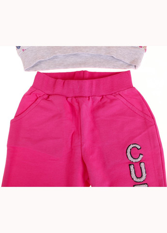 Сірий демісезонний футболка з довгим рукавом + брюки 16412 сірий меланжевий і фуксія Breeze