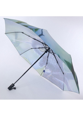 Жіноча парасолька автомат NEX (279315147)