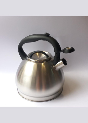 Чайник Econom зі свистком 3,0 л WK-1374 A-Plus (301941356)