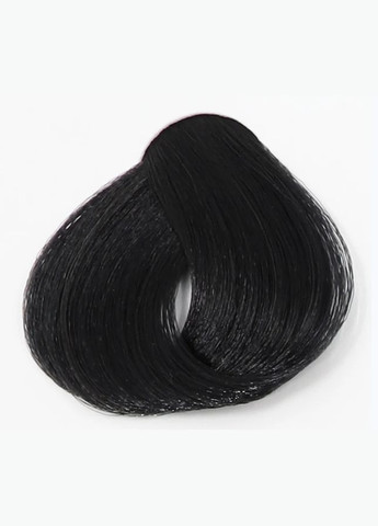 Набір Фарба для волосся №1.0 Чорна Black 2шт. + Окислювач 6% 20 Vol 300 мл. Fanola (297982783)