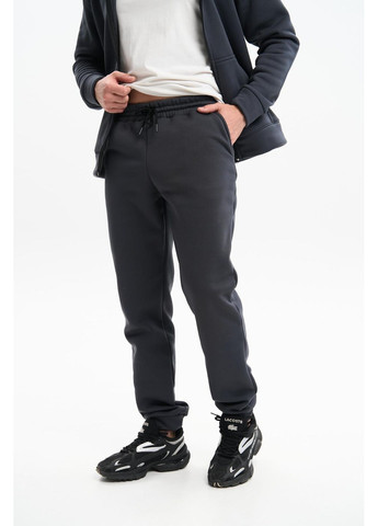 Чоловічий теплий спортивний костюм Великого розміру на блискавці з тринитки на флісі, графіт No Brand (365830125)