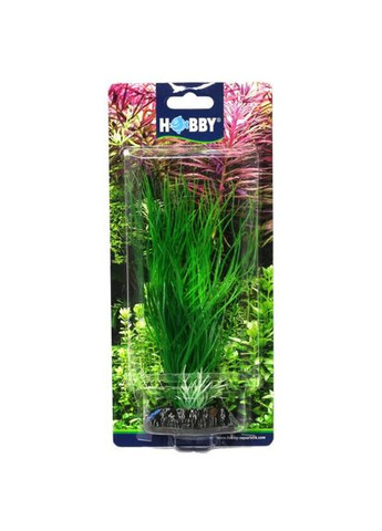 Штучна рослина Sagittaria 20 см Hobby (322711941)