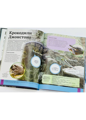 Дитяча енциклопедія хижаків. Вульф Алекс Vivat (297214247)