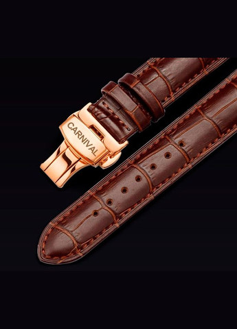 Grand Brown Carnival (346528668)