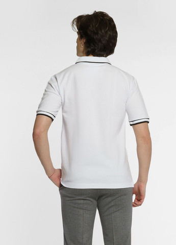 Белая футболка-поло мужское белое для мужчин Arber