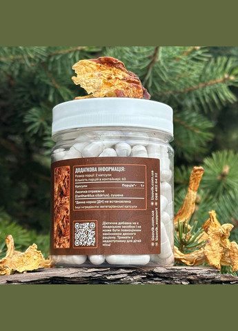 Лисичка справжня, капсули 120 шт по 0.5 г Лісовик (334292906)