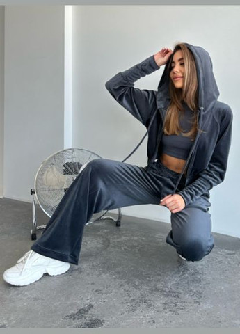 Велюровий спортивний костюм No Brand (301480901)