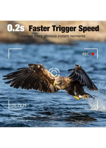 Фотопастка з передачею даних, APP/4G відео 4К, фото 30МР Suntek HC940 LTE PRO (400787986)