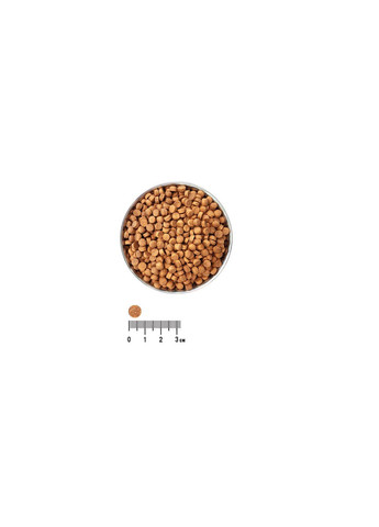 Сухой корм для взрослых котов Ekko гранула с лососем 10 кг 4820249130131 Екко Гранула (277631714)