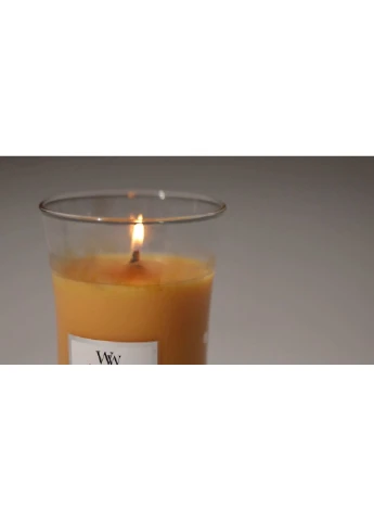Ароматическая свеча с ароматом граната и смородины Large Pomegranate 609 г WoodWick (280916795)