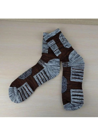 Термошкарпетки шкарпетки зі збереженням тепла швидким виведенням вологи для унісекс розмір M 39-42 (477032-Prob) Коричневі Unbranded (293814602)