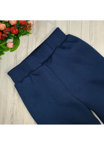 Спортивні штани для хлопчика тринитка на флісі No Brand (364275670)