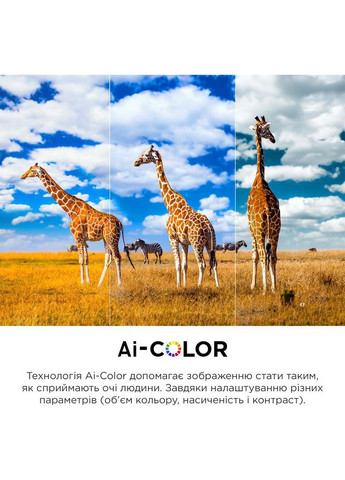 Телевізор 55C645 TCL (306919531)