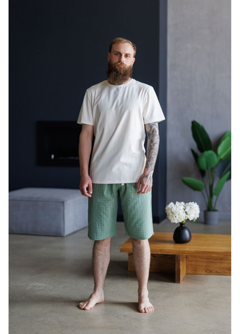 Пижама мужская футболка молочная + шорты HOMELY в клетку зеленые Handy Wear (337715530)