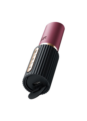 Вакуумный стимулятор Pro 2 Kiss Satisfyer (323652447)