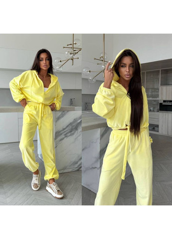 Костюм из премиального велюра,брюки и кофта. Україна (357075942)