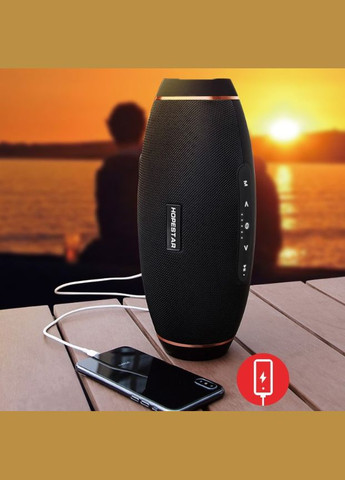 Беспроводная блютуз колонка OptMaster (1756374597) Hopestar H20 (330579022)