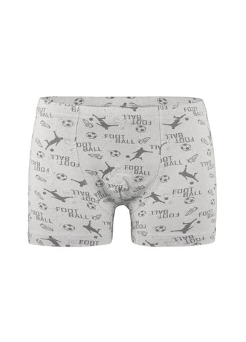 Набір (5 шт) трусиків-боксерів для хлопчиків Donella 751203 (316392989)