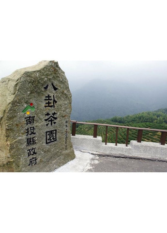 Тайванский чай Улун Four Season Oolong Si Ji Chun 50 гр (R-T-7118-VS) No Brand (303348528)