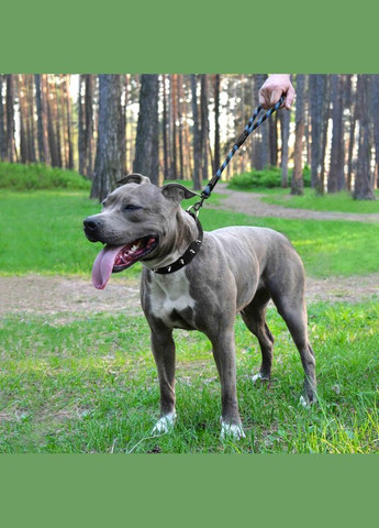 Поводок для собак L/XL альпинистский шнур синий 51 см 56182 BronzeDog (269341566)