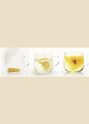 Чай Хризантема Жовта Королівська Чаєман, сушені квіти 6-8 см, вищий сорт 50 г No Brand (335868506)