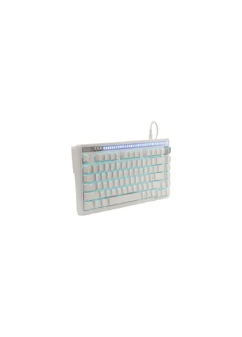 Клавиатура (4711421002776) A4Tech Bloody AT75 USB RGB UA White (377856554)