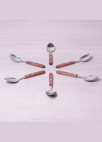 Набір столових ложок 6 шт з нержавіючої сталі з дерев'яними ручками Kamille (303211800)