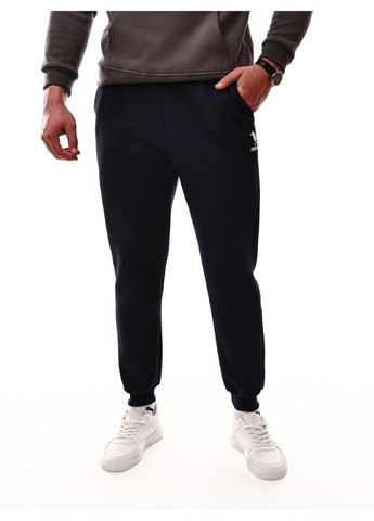 Штани спортивні чоловічі Forward (366152301)