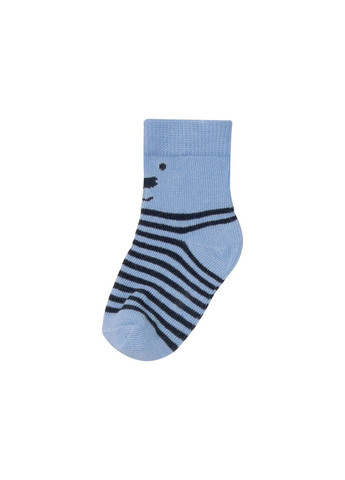 Набір шкарпеток (носків) для хлопчика Lupilu (293819606)