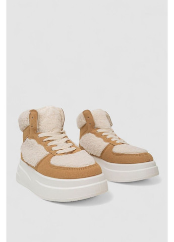 Кросівки жіночі зимові на хутрі хайтопи,, 248RLM20-3 Stilli бежеві всесезони (365960680)