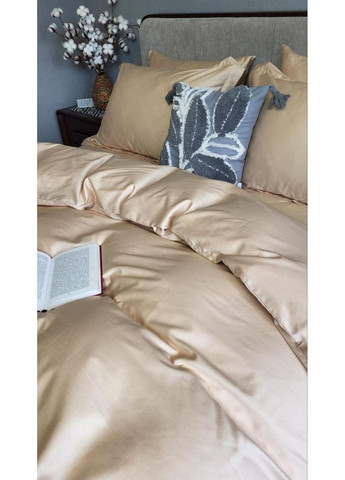 Постельное белье (169), сатин PREMIUM Двухспальный размер, наволочки 70/70 No Brand (364219410)