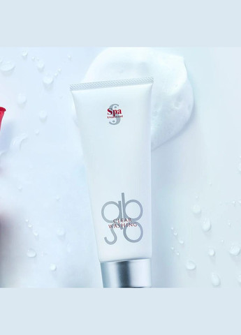 Abso Washing піна для вмивання, 120 гр Spa Treatment (307090876)