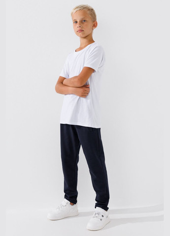 Темно-синие спортивные демисезонные брюки Atescan