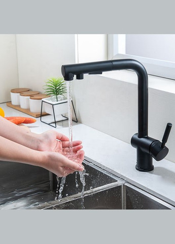 Смеситель для кухни с выдвижным изливом FBL-34 Nett (336939089)