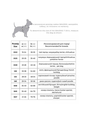 Майка для собак Clothes Сміливість S35 Сіра (295-0231) WAUDOG (279569050)