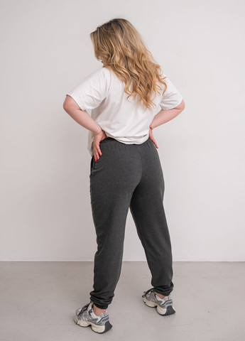 Спортивные штаны джоггеры No Brand (317633460)