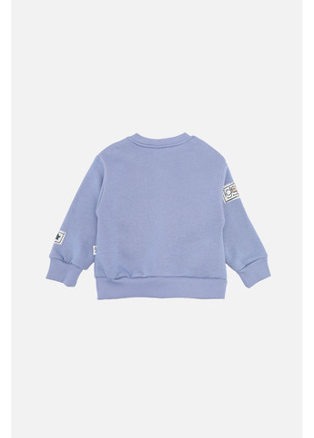 Синий зимний костюм с штанами для мальчика цвет синий цб-00283906 Iggy