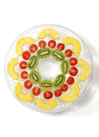 Сушилка для продуктов (FDK500GCW) Gorenje (360422867)