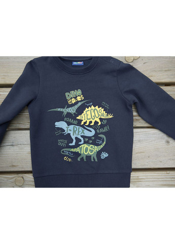 Lupilu світшот на флісі динозавр темно-синій повсякденний, кежуал трикотаж