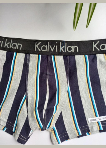 Мужские боксерки хлопковые kalviklan размер М. 46 REDO (368787720)