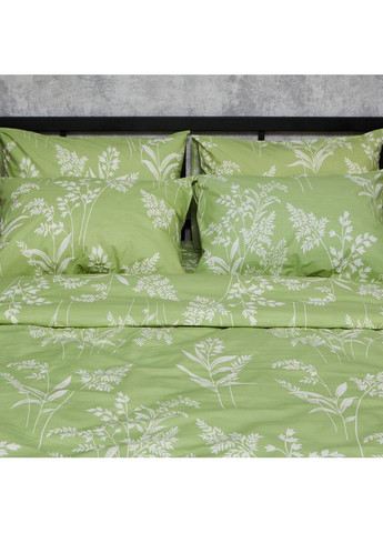 Комплект постельного белья Бязь Gold Люкс «» Евро 200х220 наволочки 2х40х60 (MS-820007255) Moon&Star Verdant Spring (356113183)