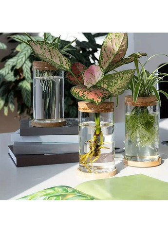 Ваза колба 3 шт. стеклянная, набор гидропонных ваз для укоренения и выращивания растений в воде с деревянной крышкой. No Brand (370290239)